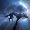 external image th_b39746391-1.gif